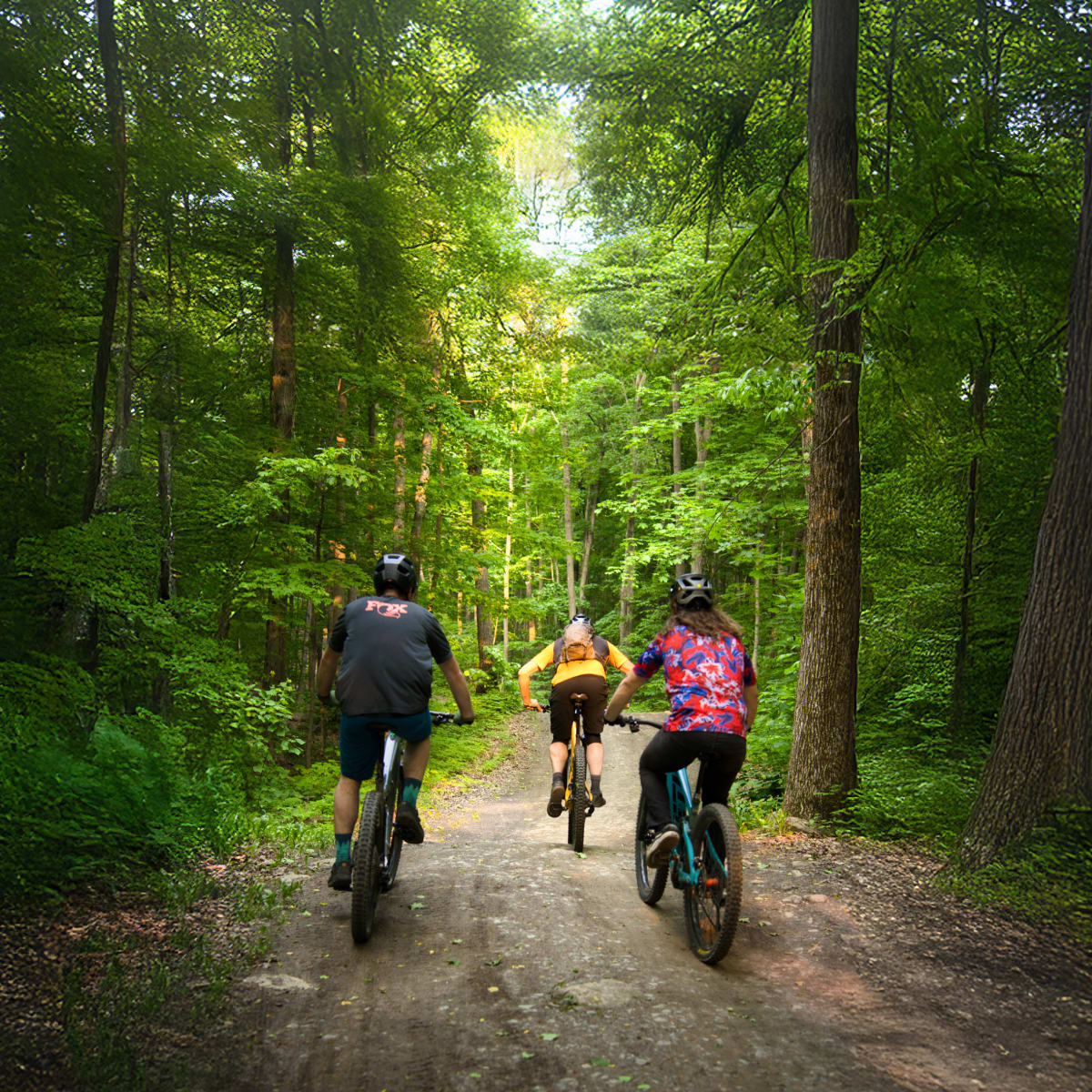 Vélo au Mont Rigaud.
