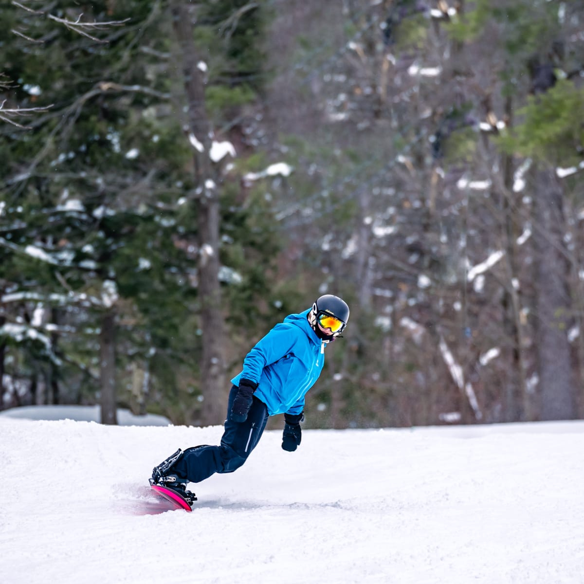 Mont Rigaud - Station de ski