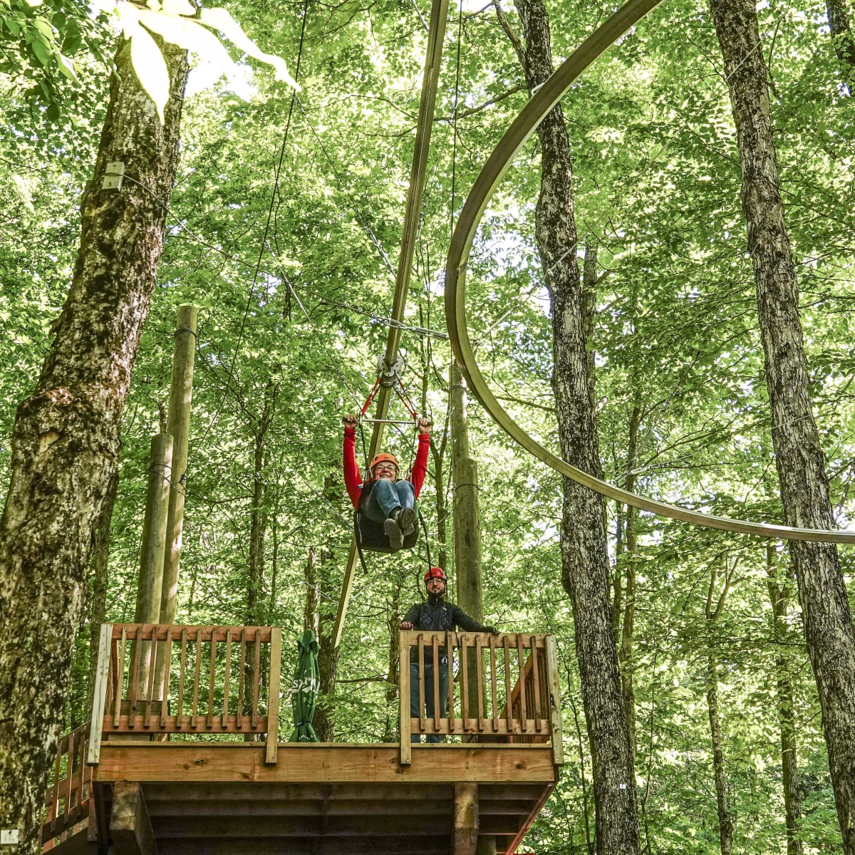 Tyrolienne à virages en forêt l'été.