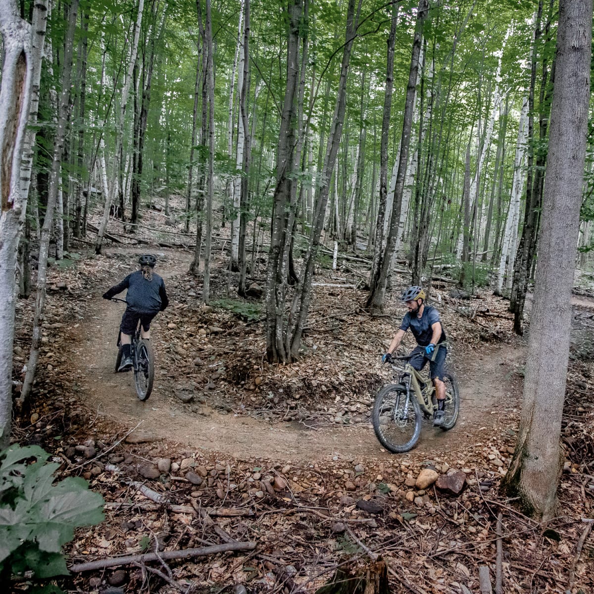 Sentier en été, Montebello, vélo de montagne.