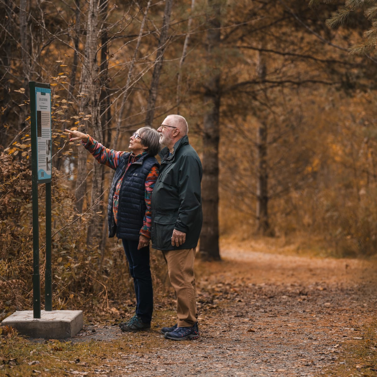 Municipalité d'Orford - Un couple regarde un panneau d'interprétation dans une forêt aux couleurs automnales