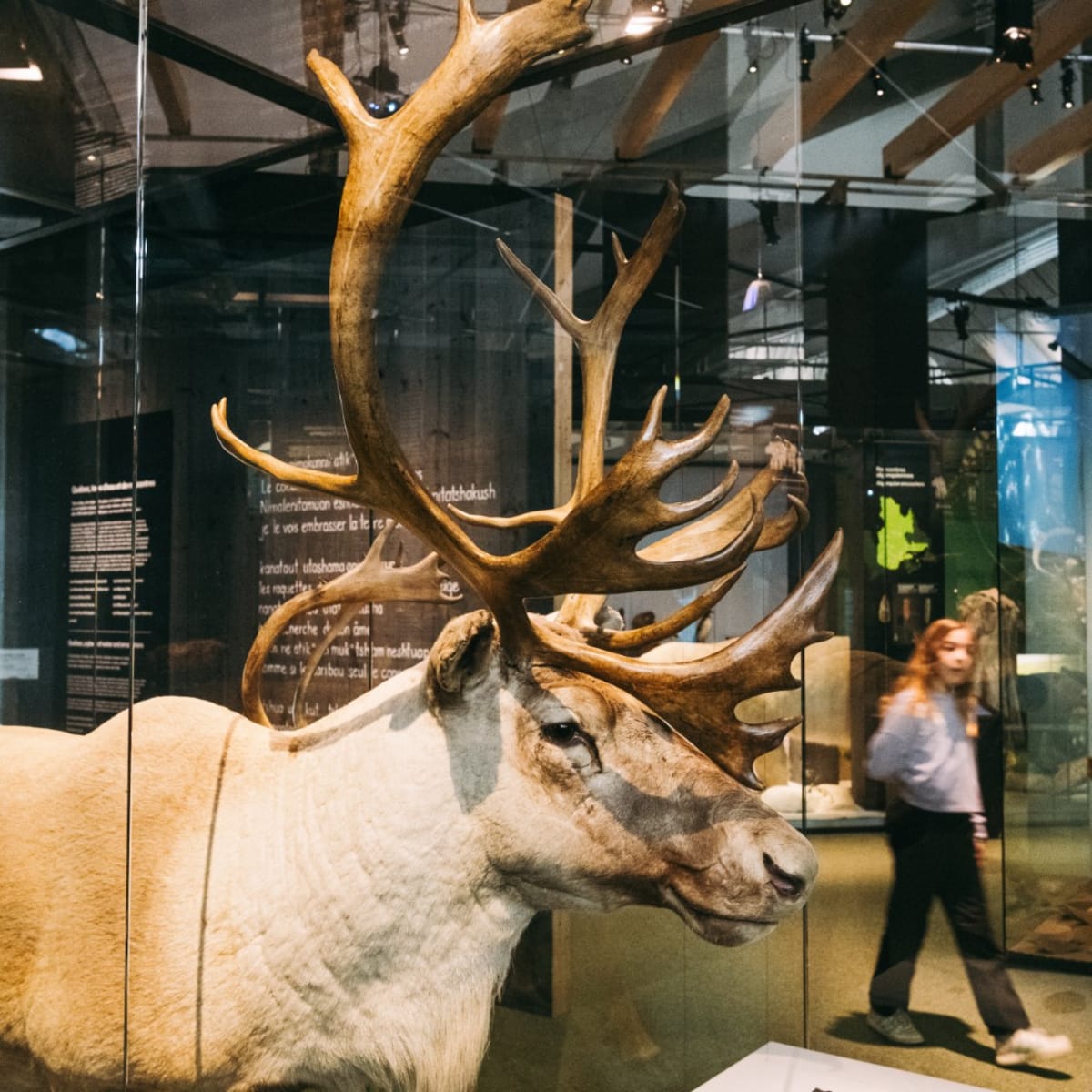 Le Musée de la Civilisation.