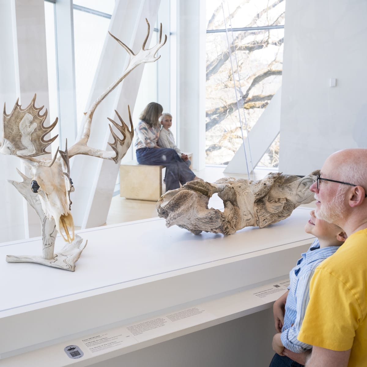 Musée national des beaux-arts du Québec - Expériences et cultures autochtones
