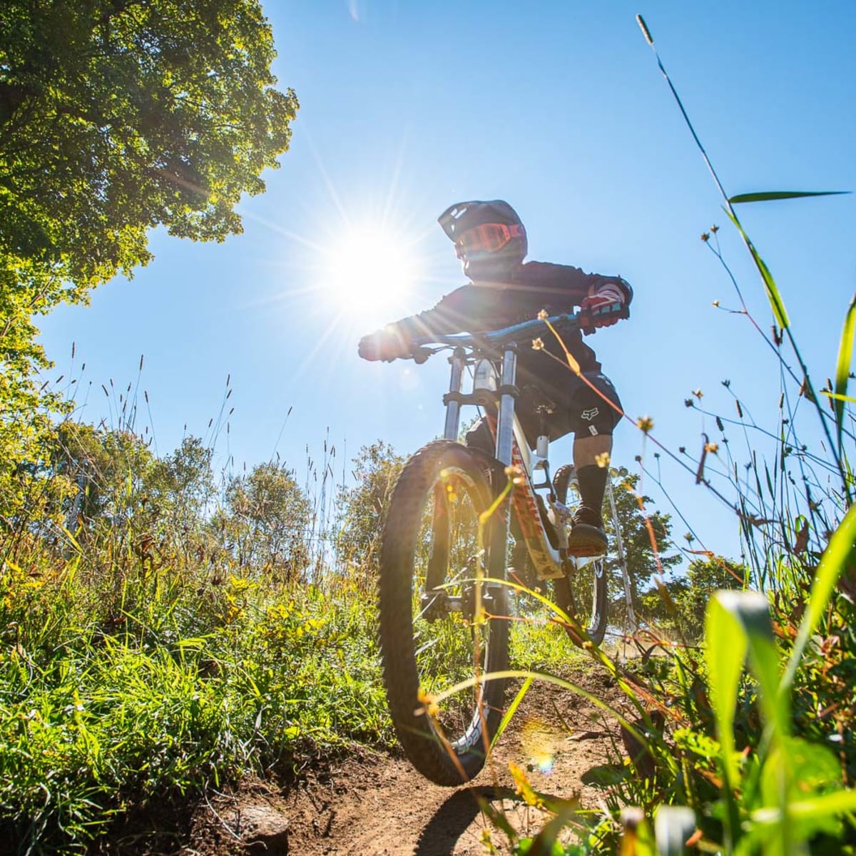 Parc vélo Sommet Saint-Sauveur