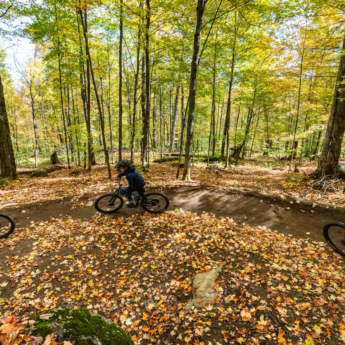 Parc vélo Sommet Saint-Sauveur