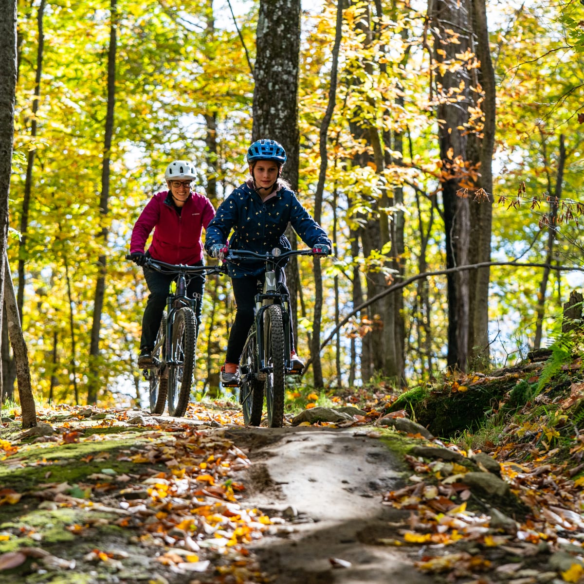 Parc vélo Sommet Saint-Sauveur
