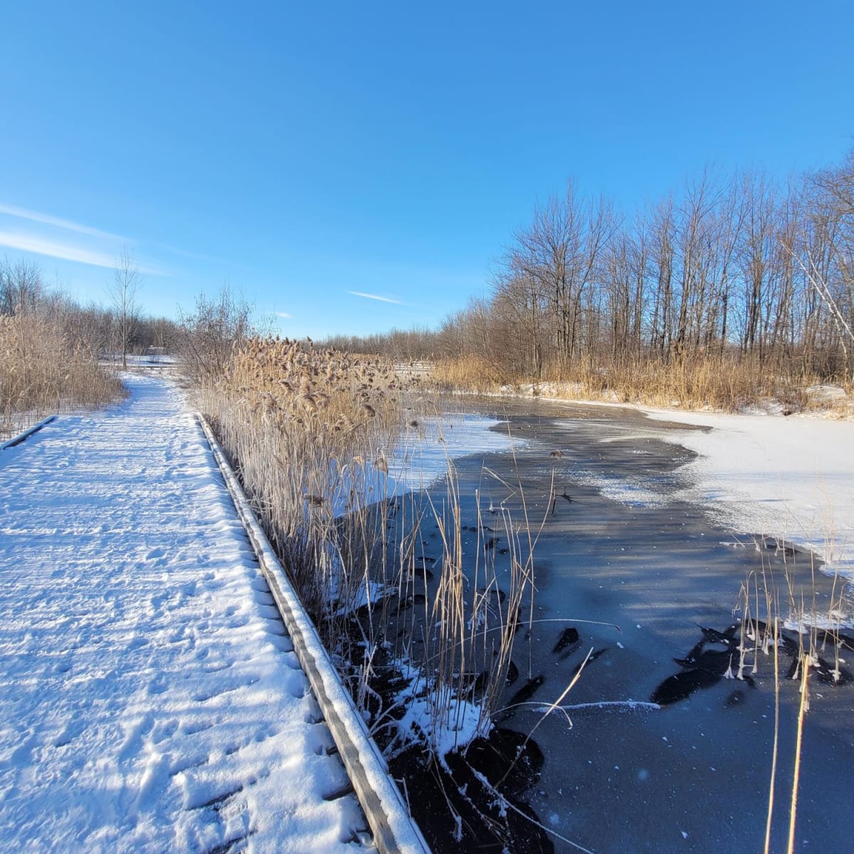 Passerelle et étang en neige en hiver.