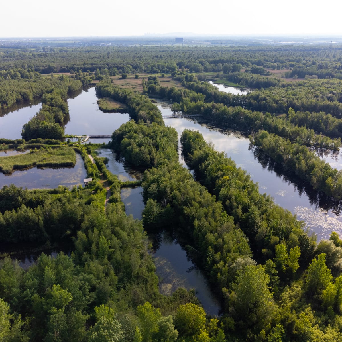 Vue aérienne du parc en été avec les nombreux étangs.