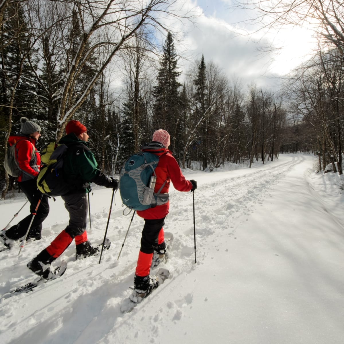 Ski de fond au Parc national de Frontenac.