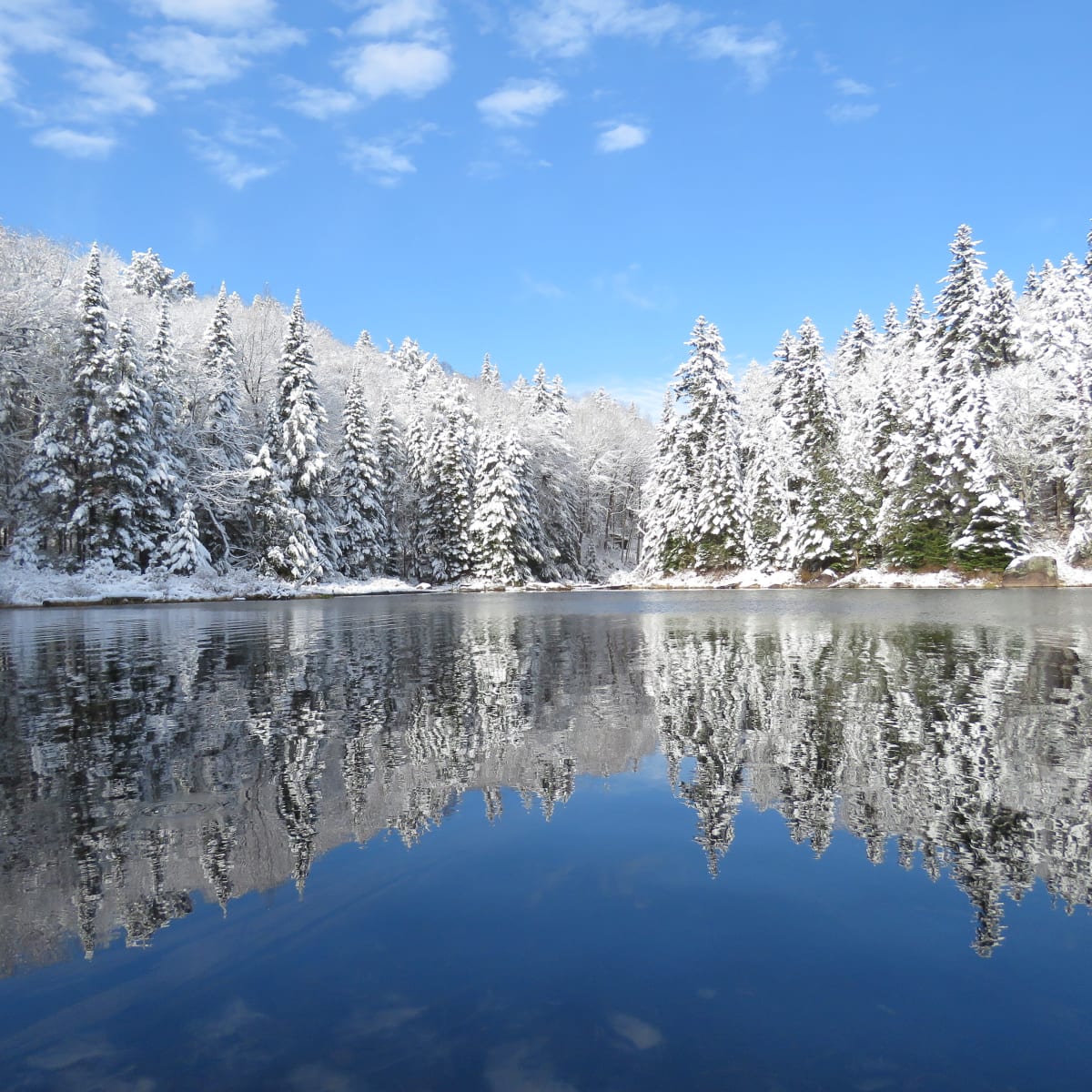 Le Parc national de la Mauricie en hiver.