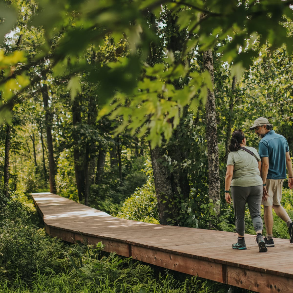 Parc national de Plaisance - A couple walking in the forest