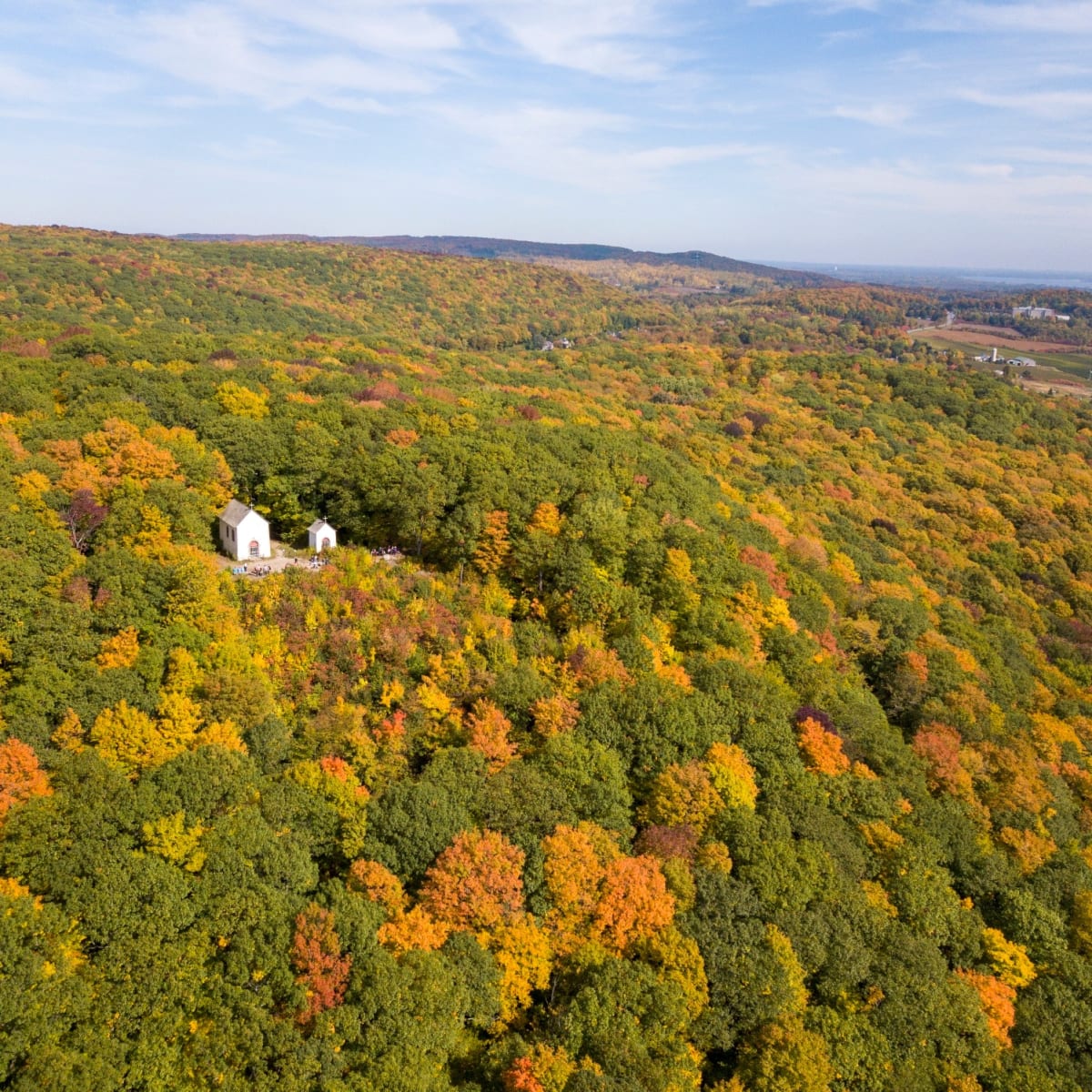 Vue aérienne du Parc national d'Oka en automne.