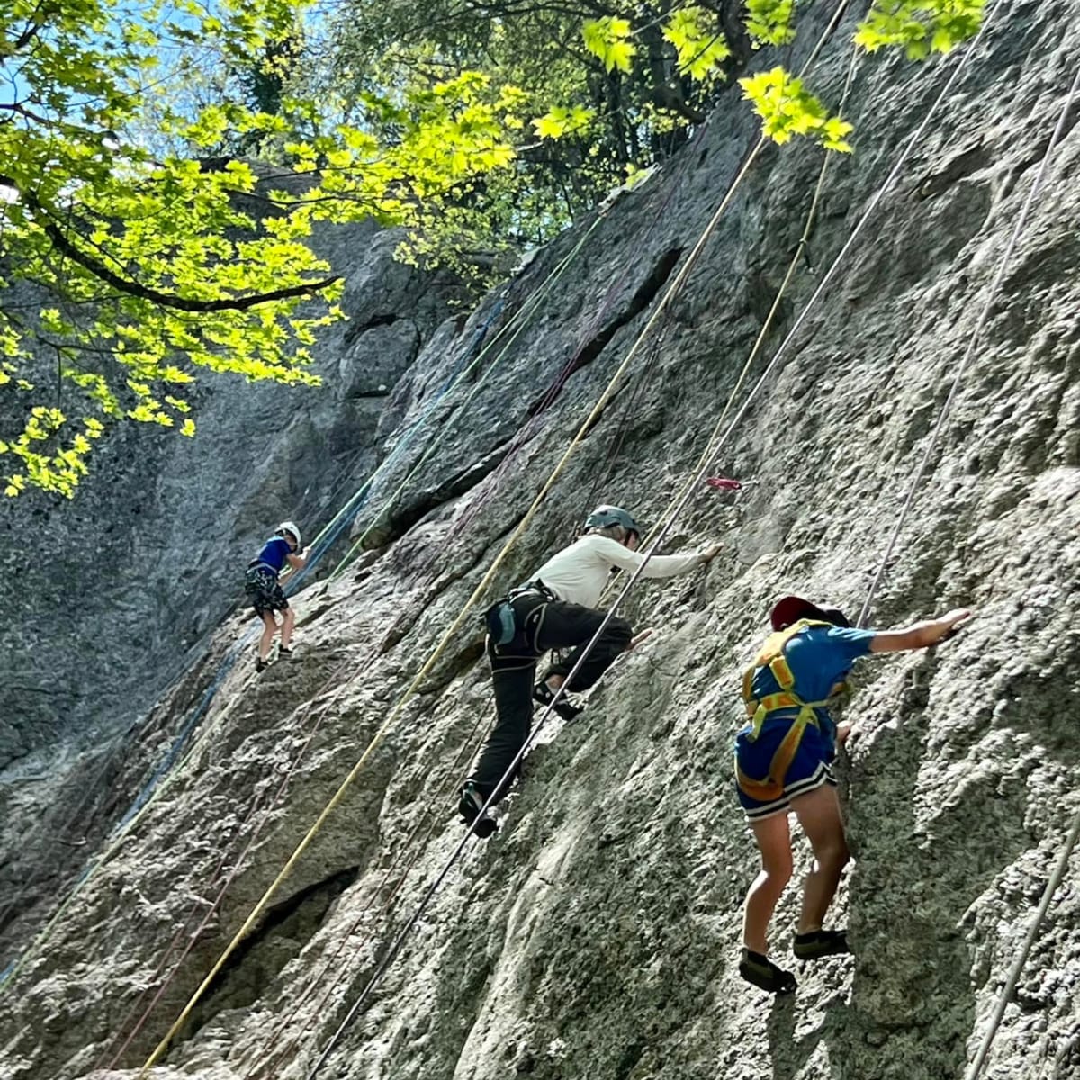 Rock climbing.