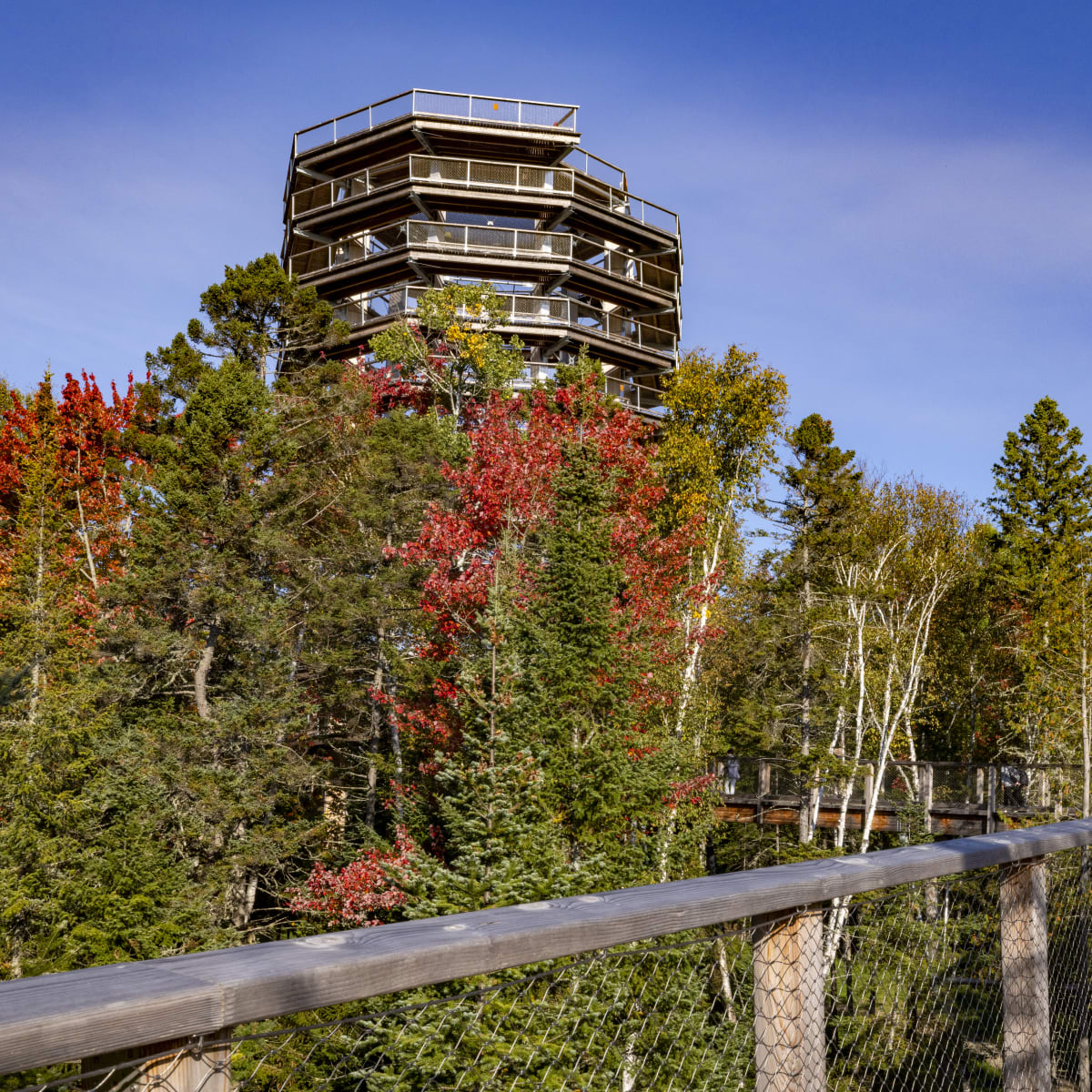 L'automne au Sentier des cimes