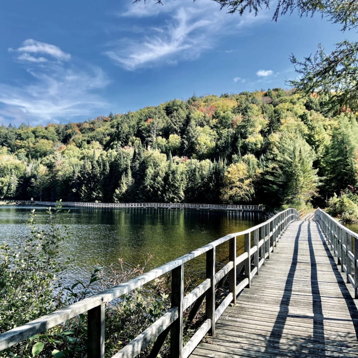 Passerelle au Parc-Éco Laurentides.