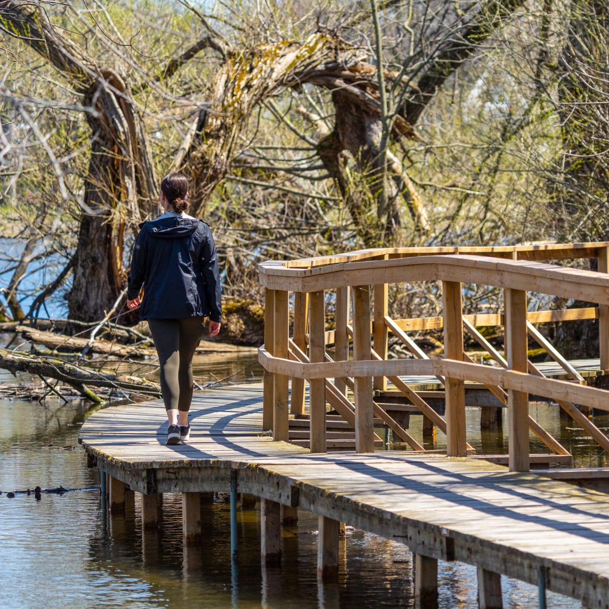 Femme marchant sur une passerelle sur pilotis au printemps.