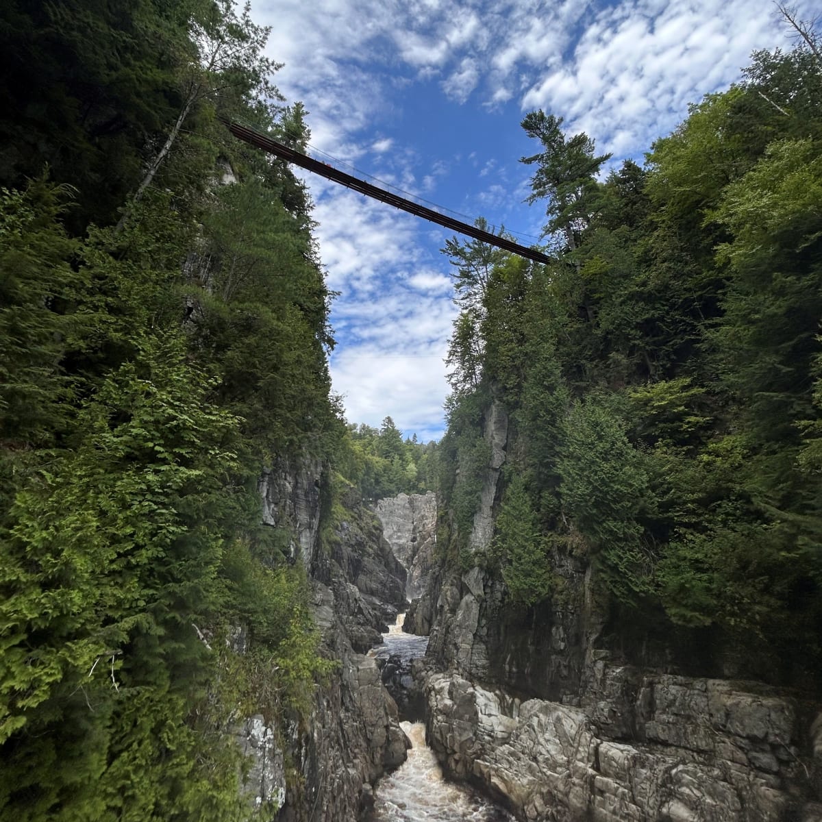 Passerelle suspendue au Canyon Sainte-Anne.