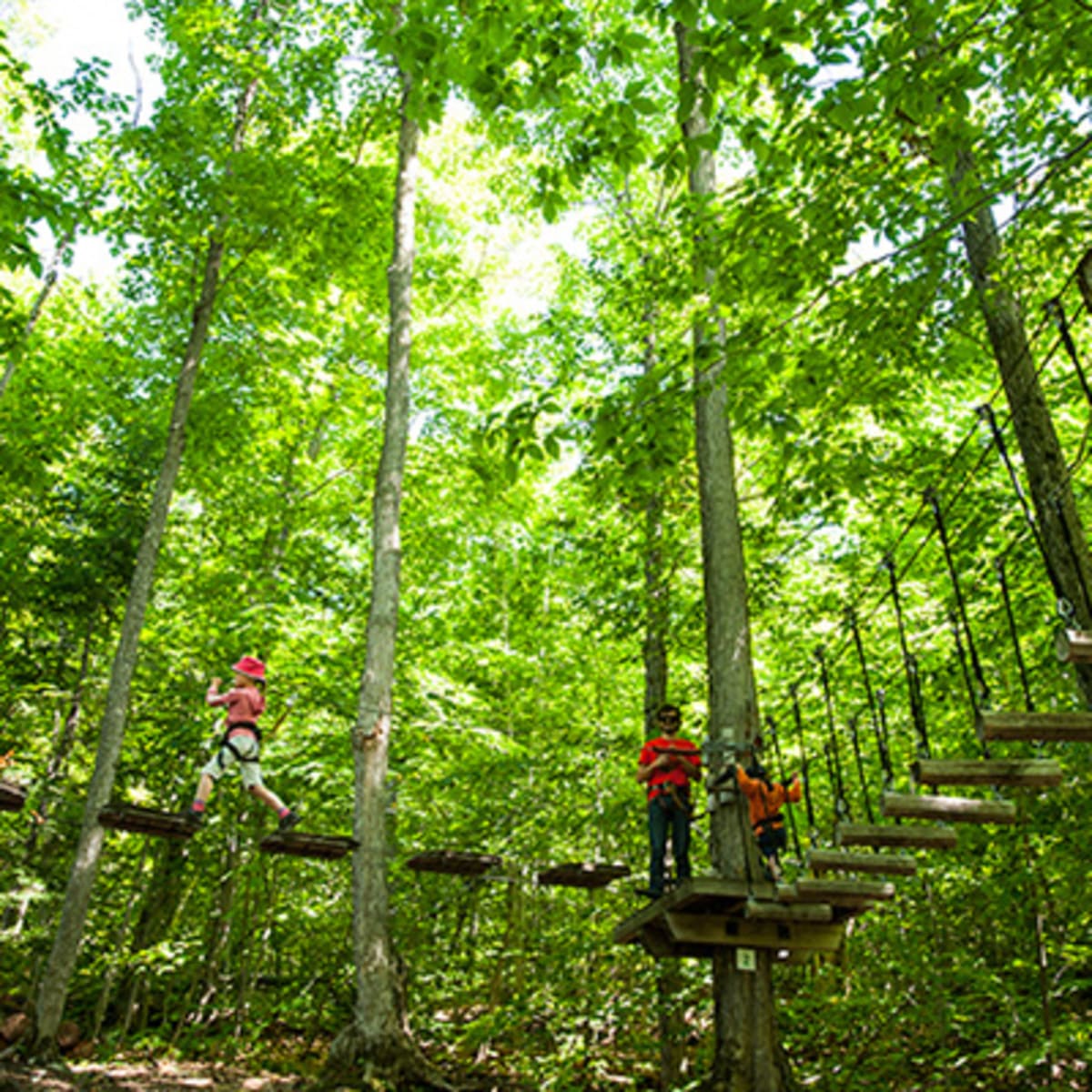 acro_nature_du_sommet_morin_heights_13