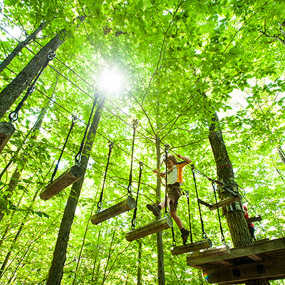 acro_nature_du_sommet_morin_heights_16