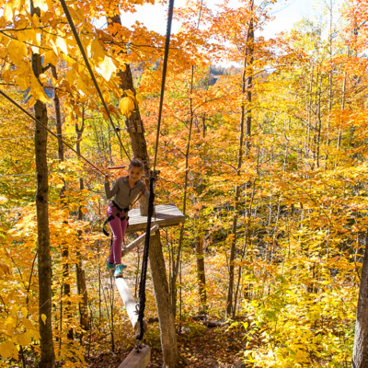 acro_nature_du_sommet_morin_heights_19