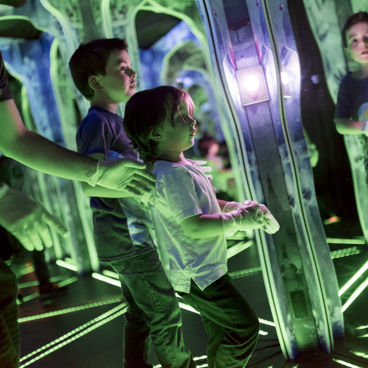 attraction_bfly_quebec_4