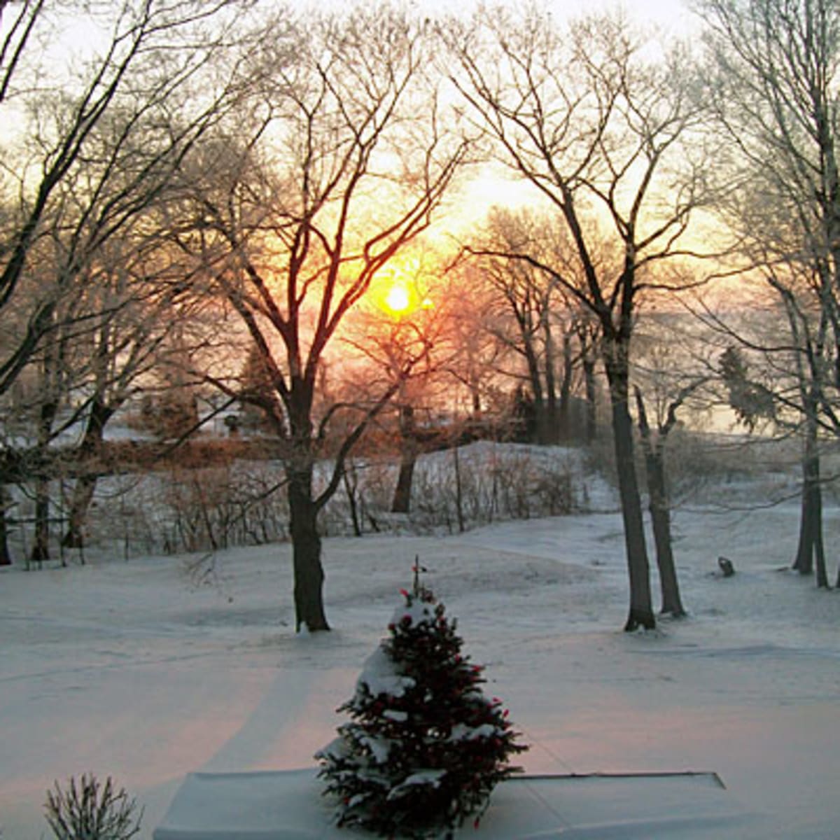 auberge_du_lac_saint_pierre_2_h