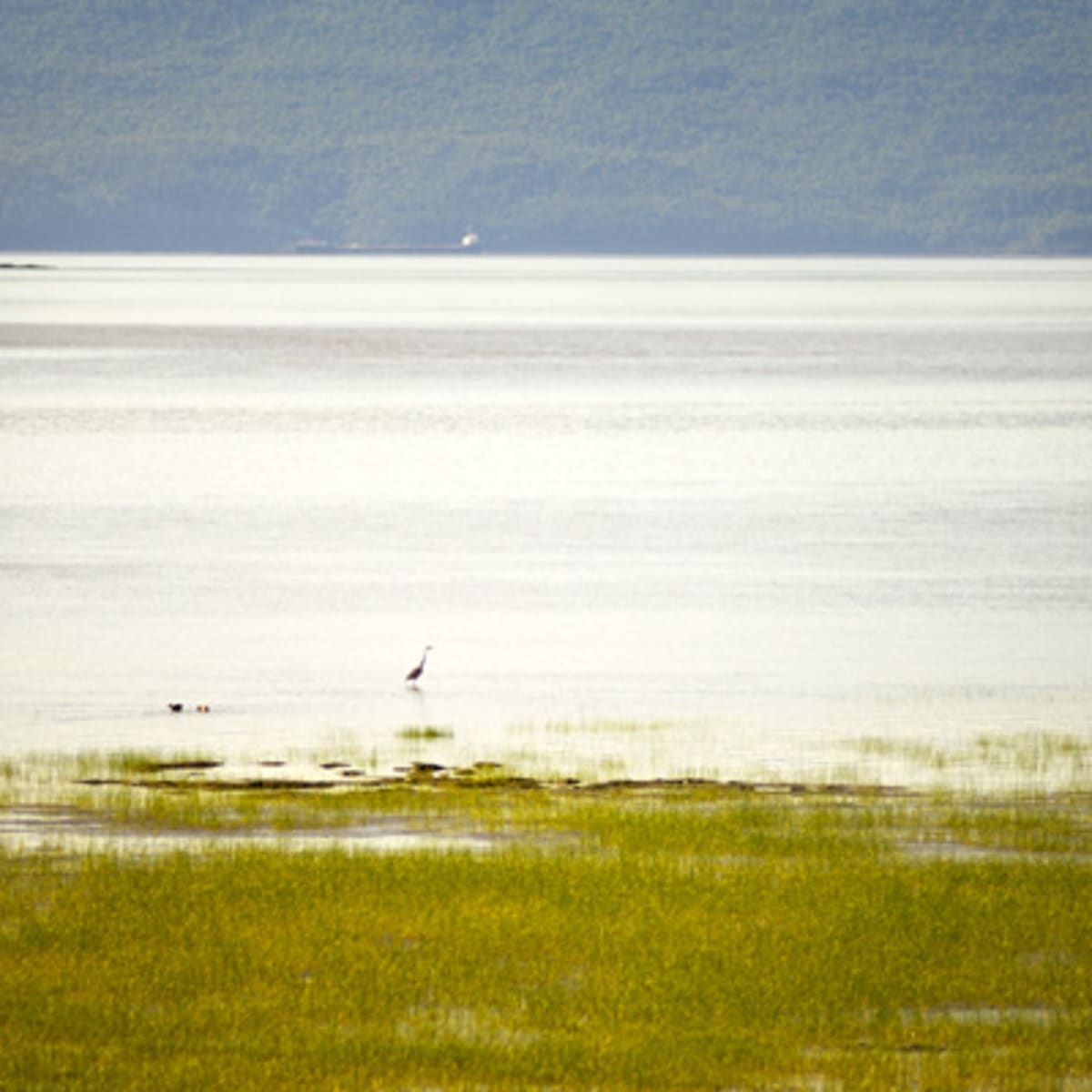auberge_pourvoirie_isle_aux_grues_7
