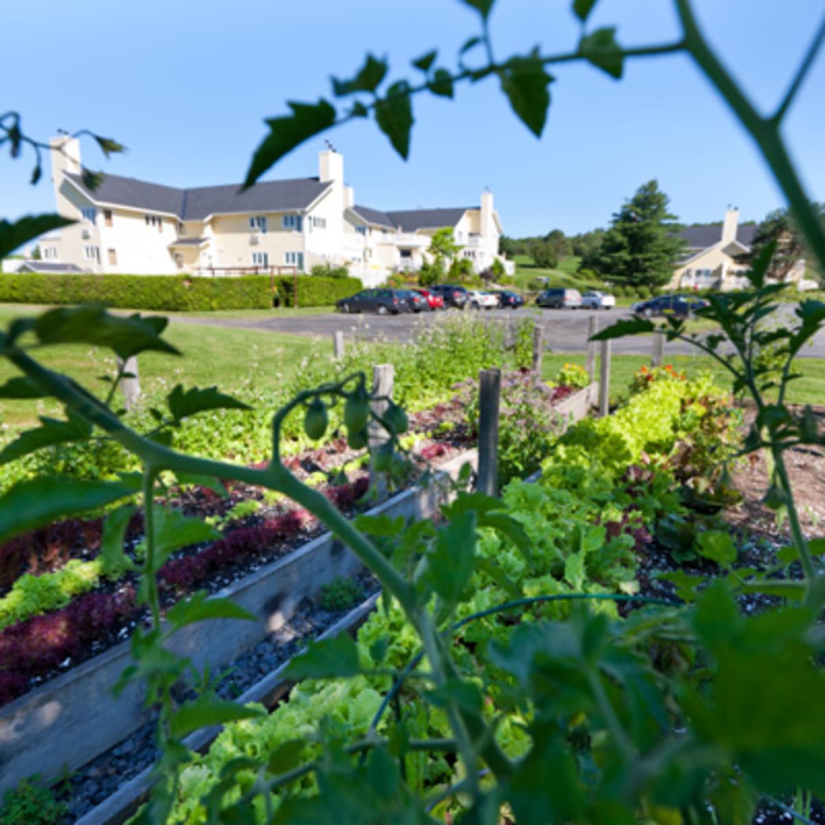 auberge_west_brome_2