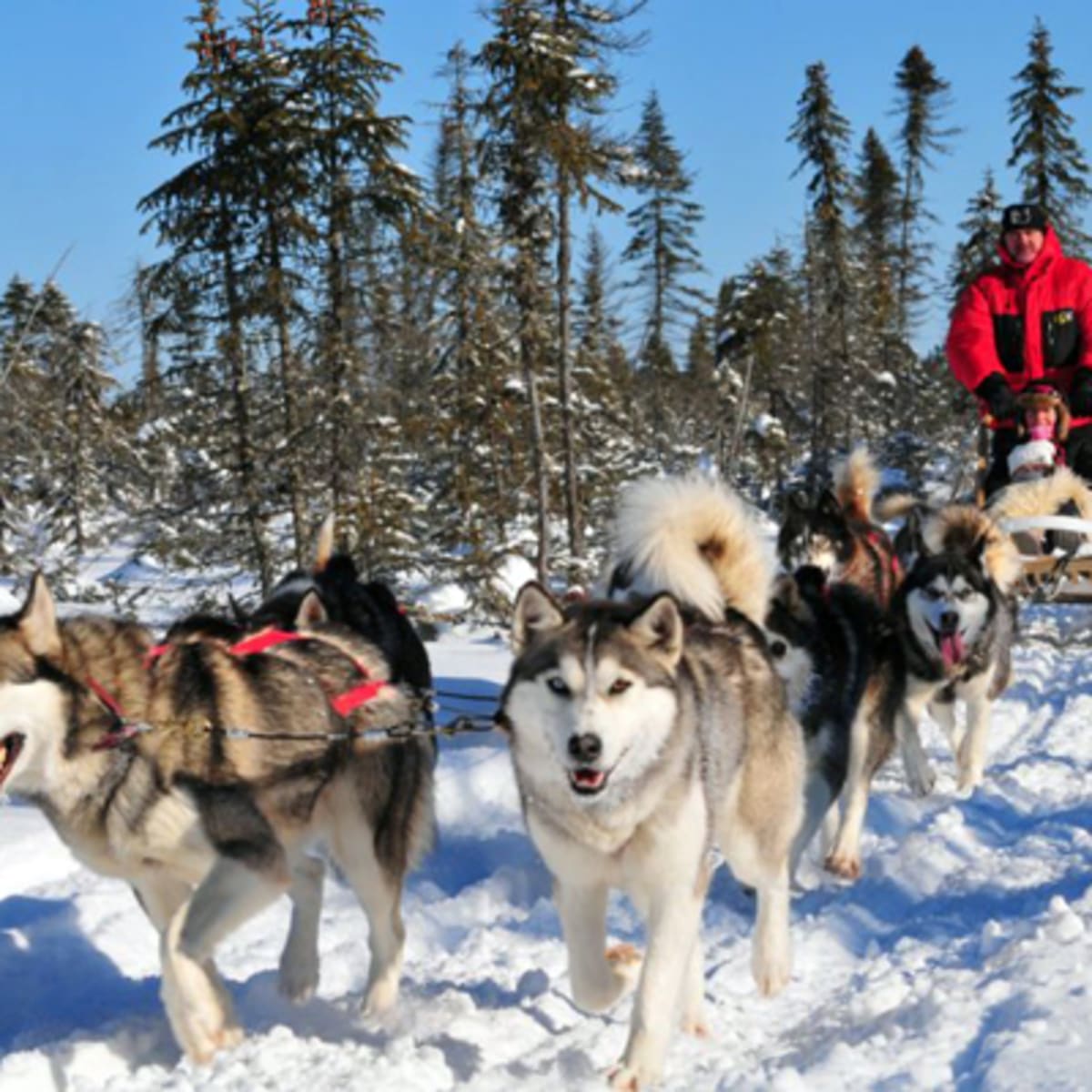 aventure_ecotourisme_quebec__quebec_aventure_plein_air_2_h