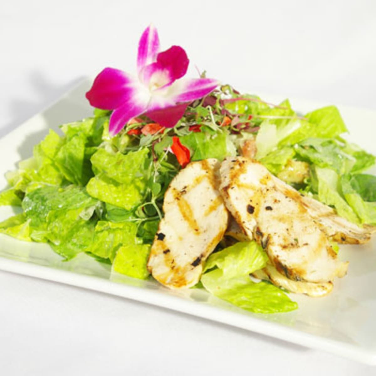 best_western_centre_ville_quebec_13