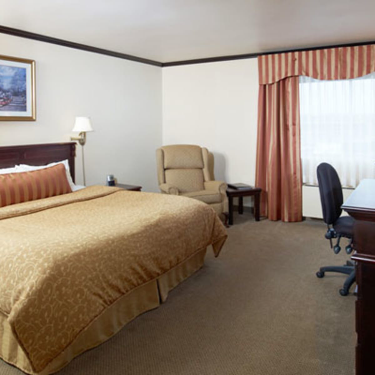 best_western_centre_ville_quebec_6