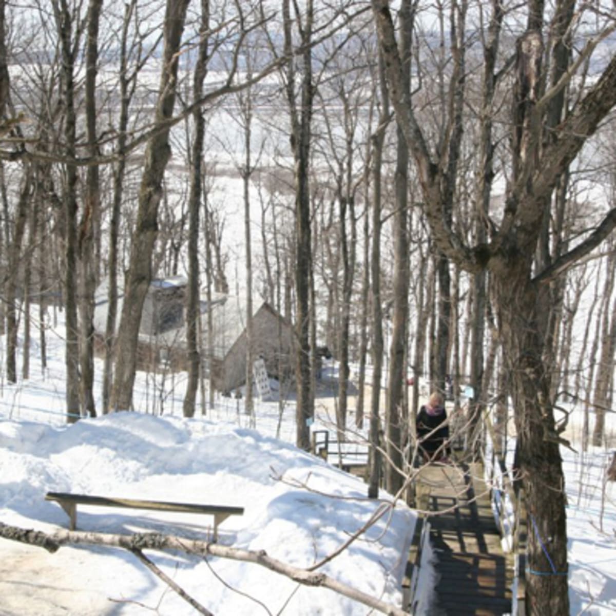 Cabane à sucre Le Relais des Pins