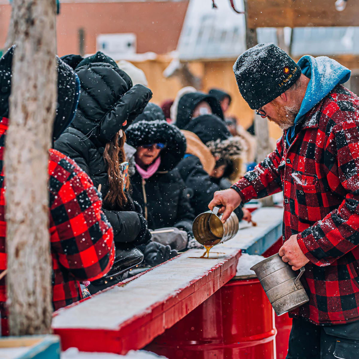 cabane_panache_2