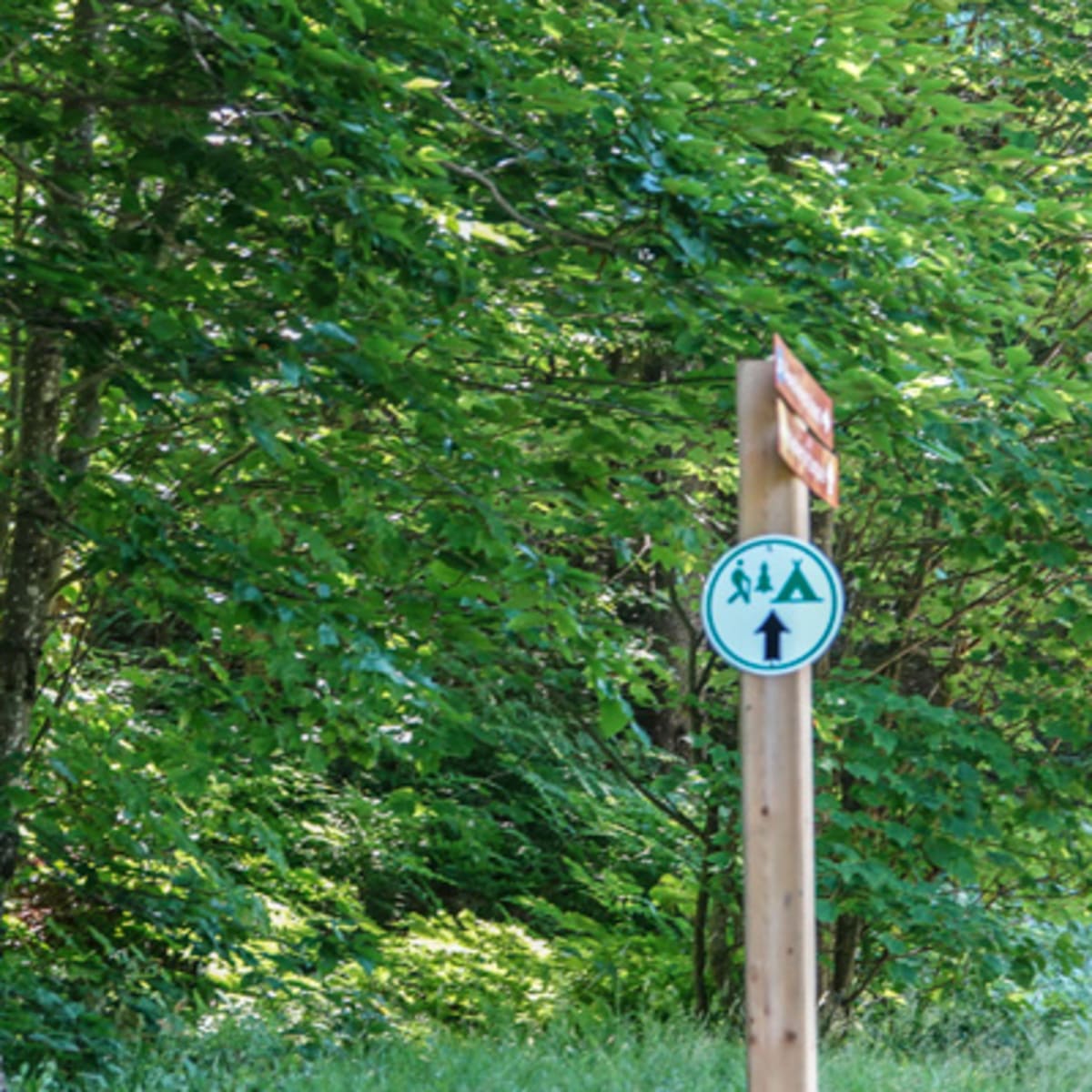 camping_au_sommet_10