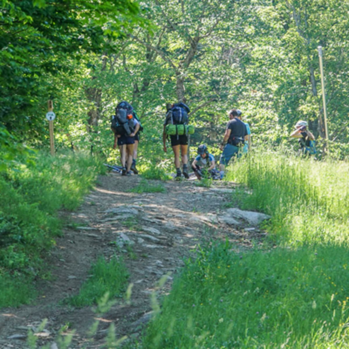 camping_au_sommet_9