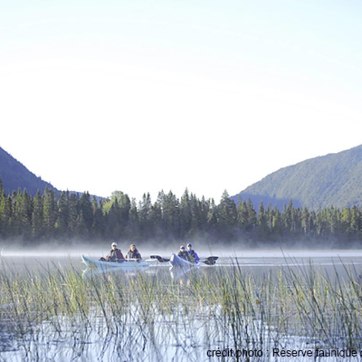 camping_de_la_reserve_faunique_de_matane_3