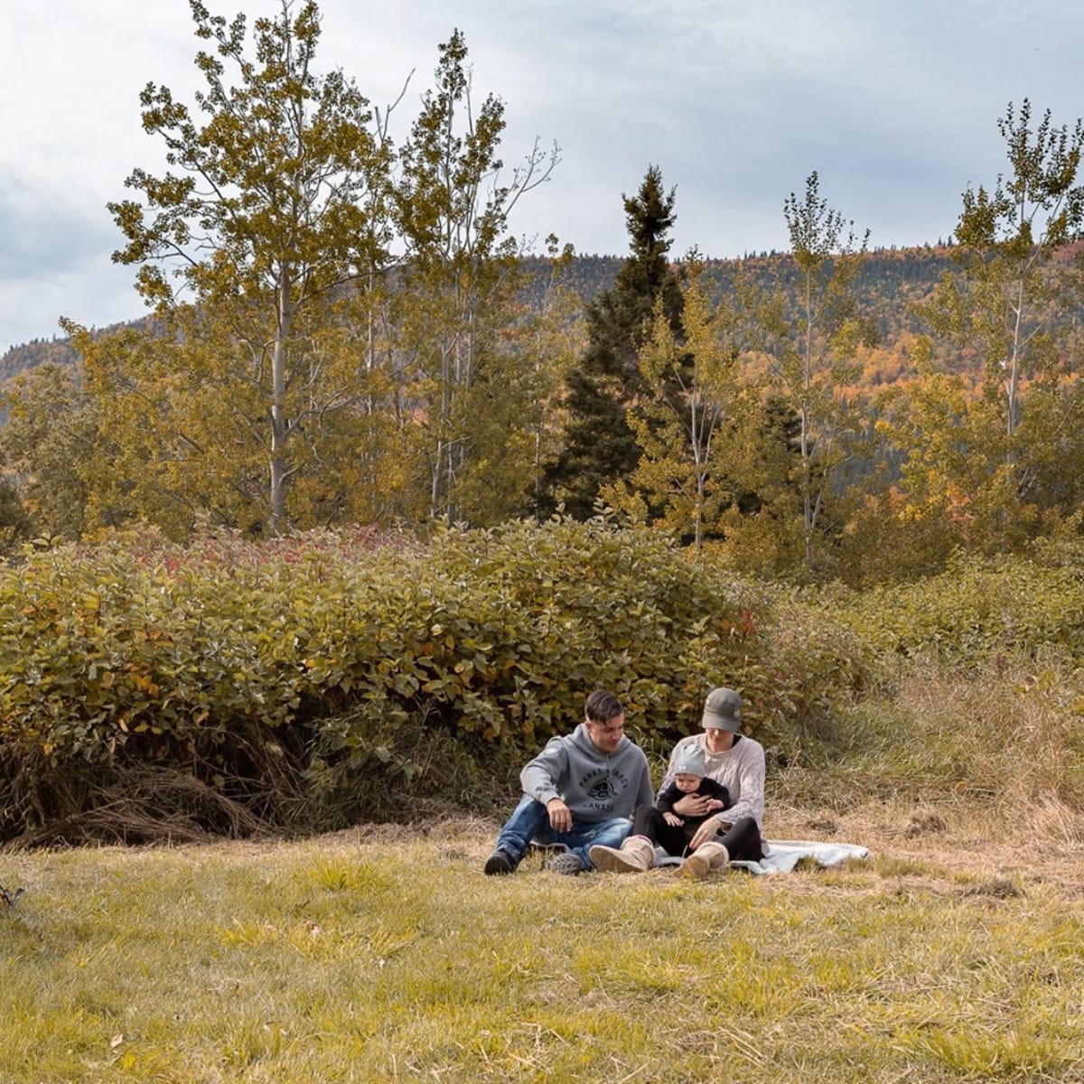 camping_du_parc_national_de_forillon_1