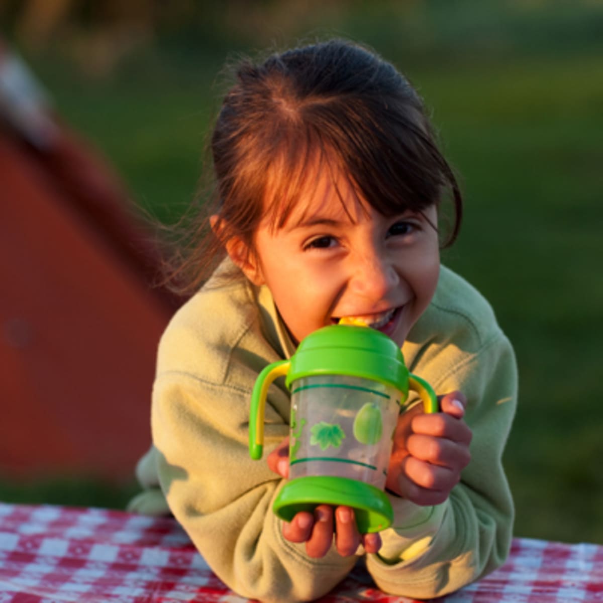 camping_du_parc_national_de_forillon_14