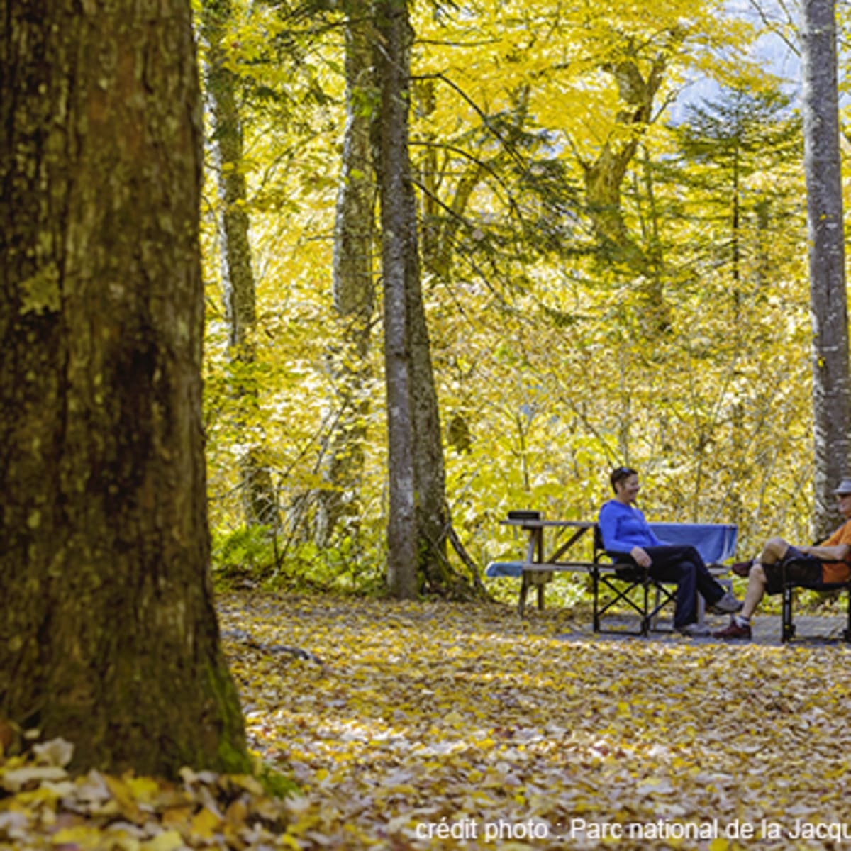 camping_du_parc_national_de_la_jacques_cartier_3