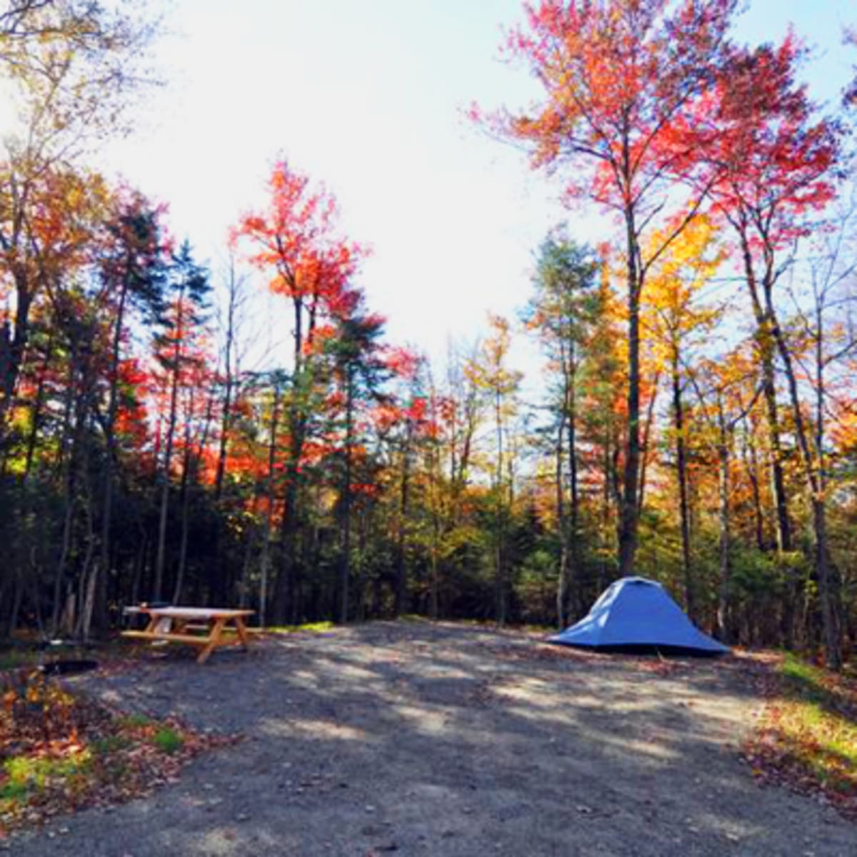 camping_du_parc_national_du_mont_megantic_1_a