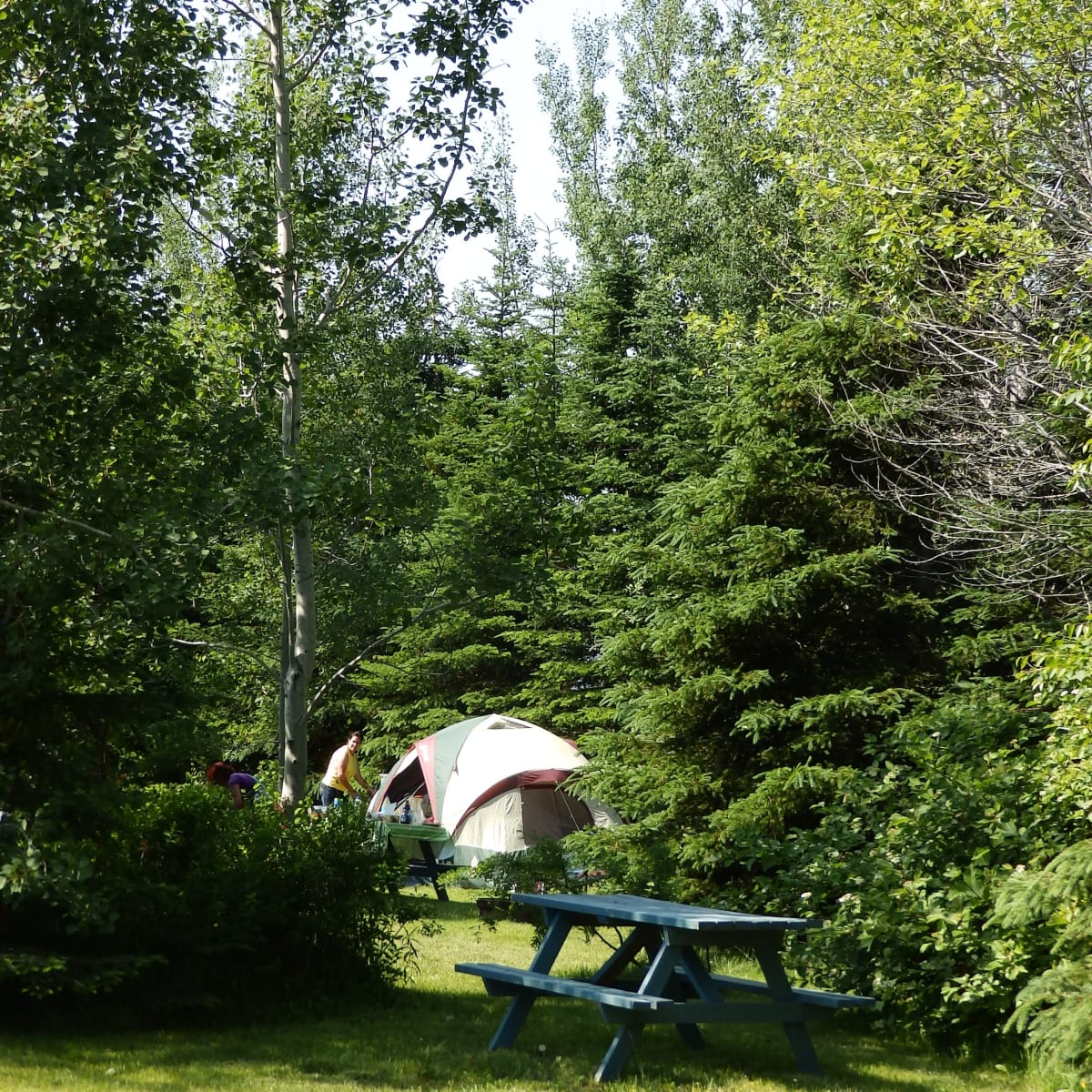 camping_et_ranch_du_fjord_2
