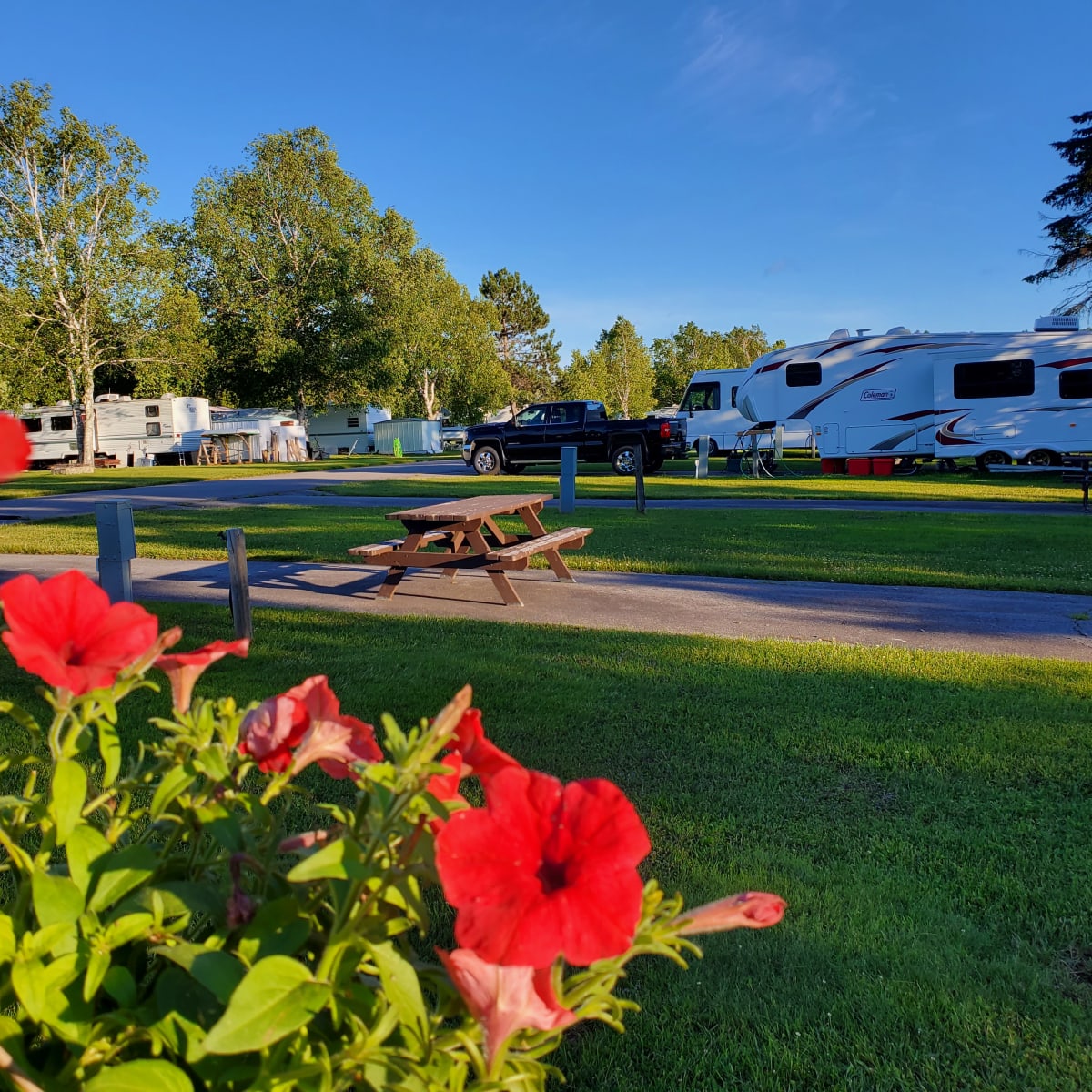 camping_municipal_de_sainte_veronique_7