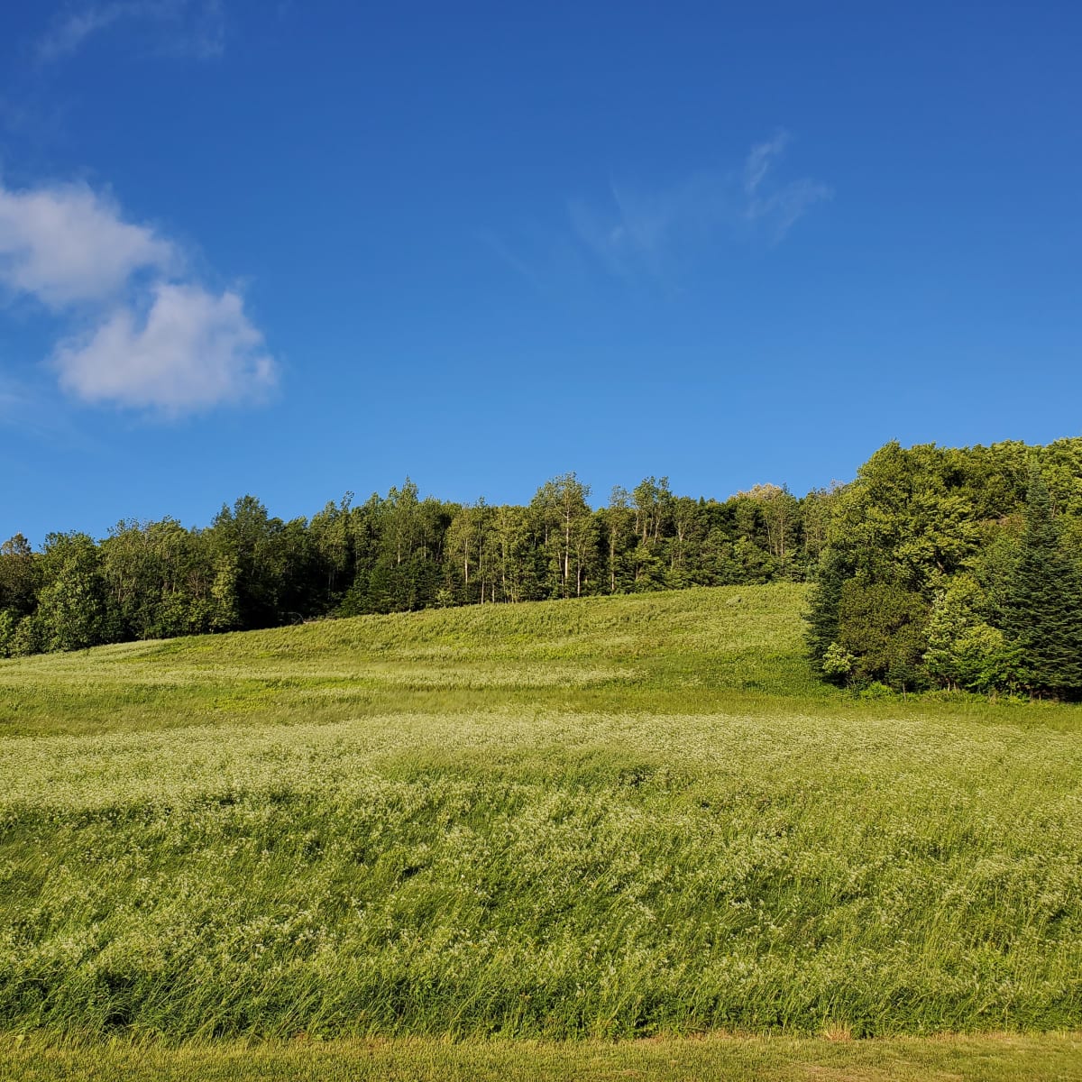 camping_municipal_de_sainte_veronique_8