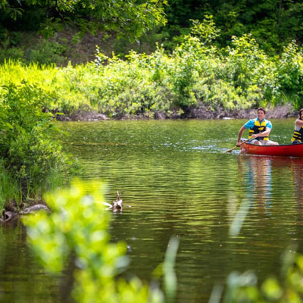 camping_parc_de_la_gatineau_16