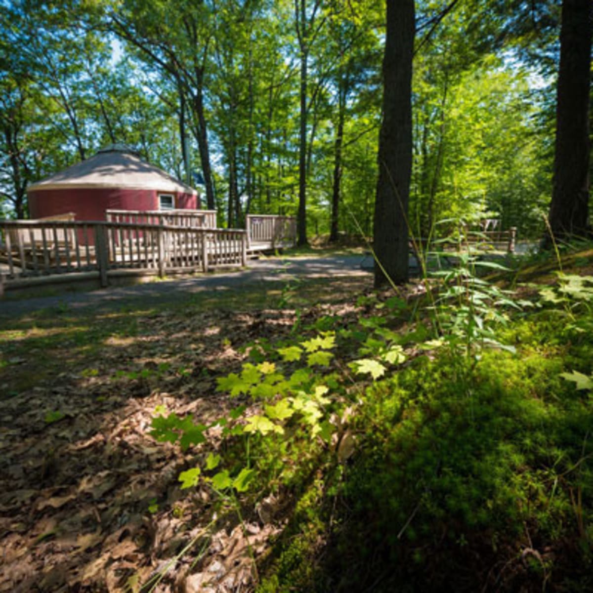 camping_parc_de_la_gatineau_8