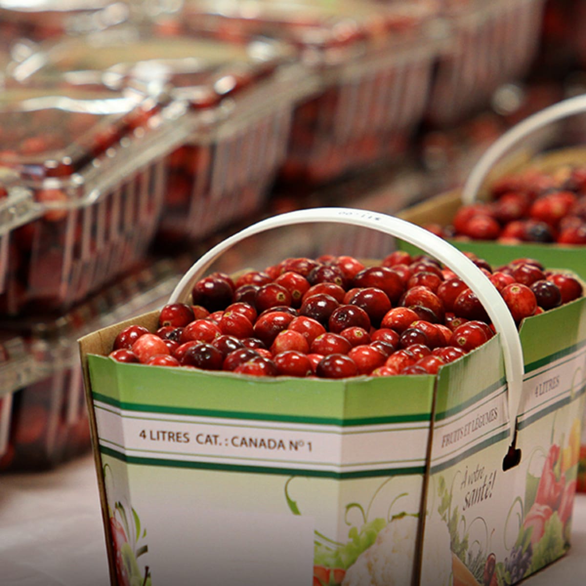 canneberge_en_fete_4