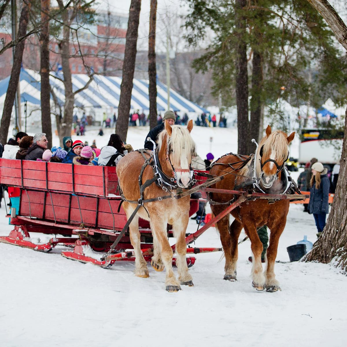 carnaval_de_sherbrooke_5_h
