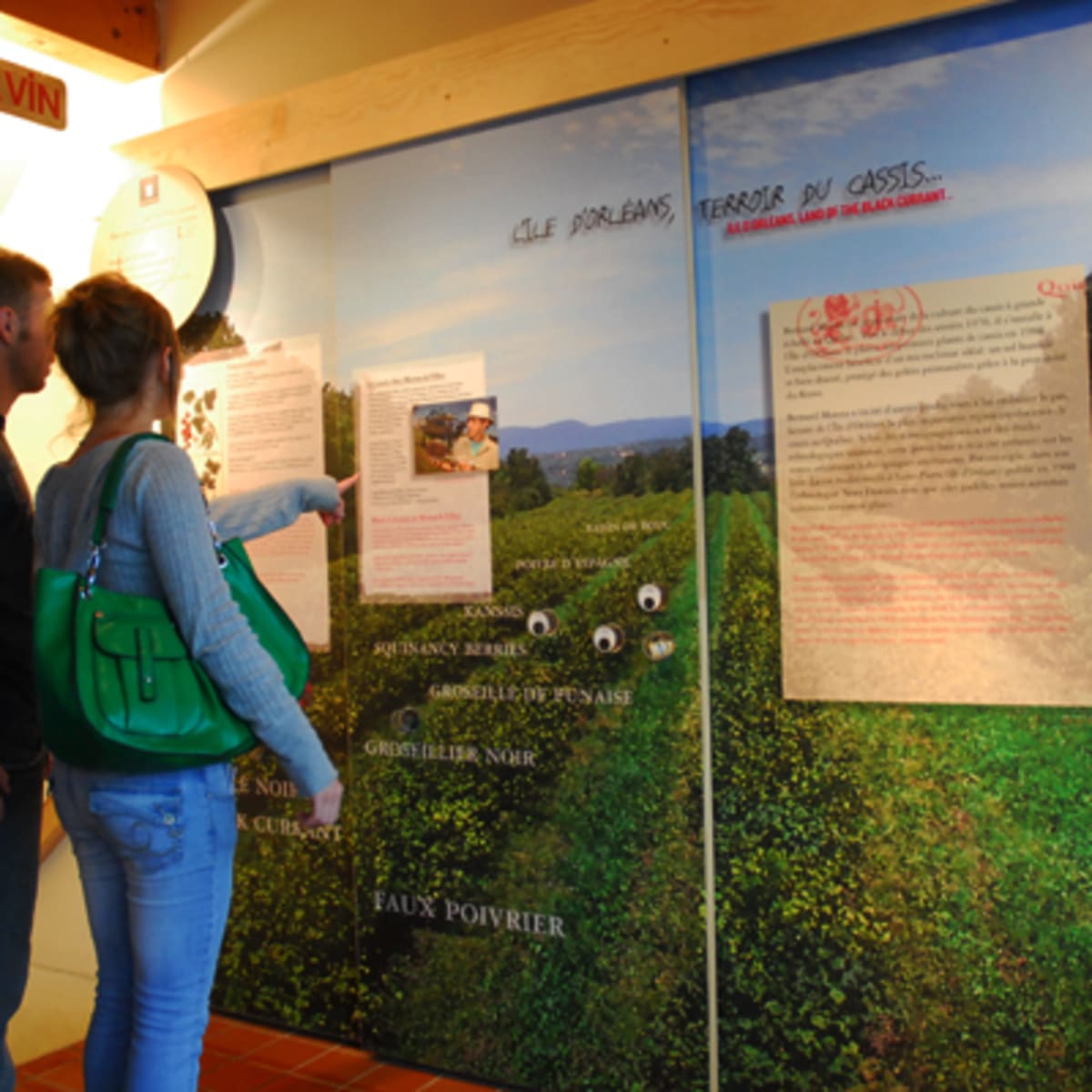 cassis_monna_et_filles___economusee_de_la_liquoristerie_8