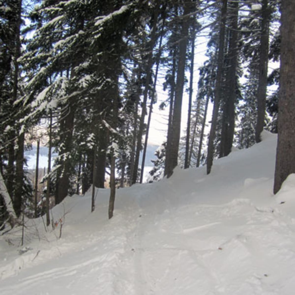 centre_de_ski_mont_la_reserve_13