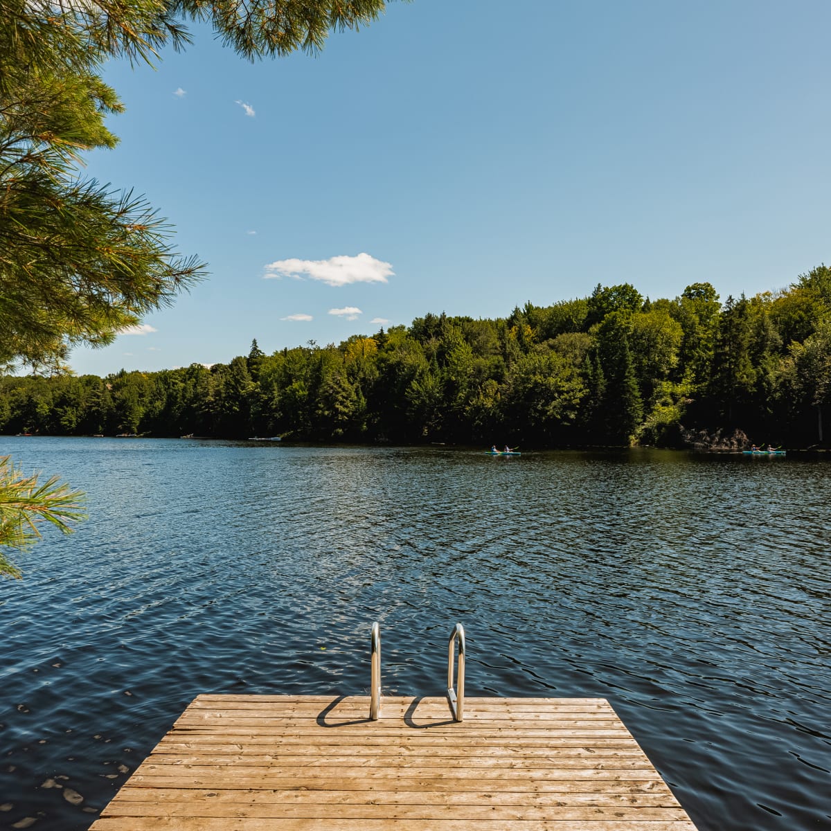 centre_de_villegiature_lac_fiddler___chalets_2